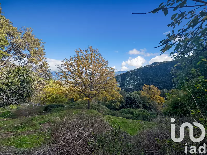 Terrain, 842 m²