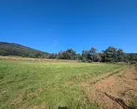 Terrain, 979 m²