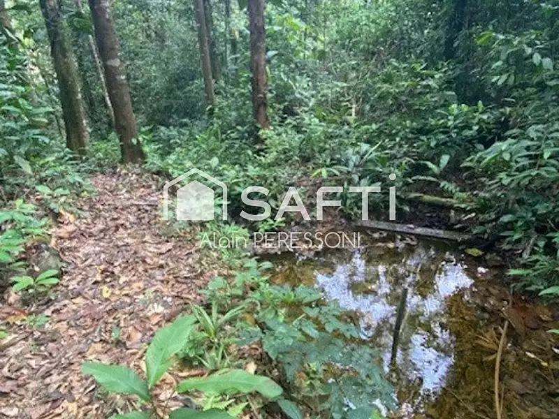 Terrain, 40 003 m²