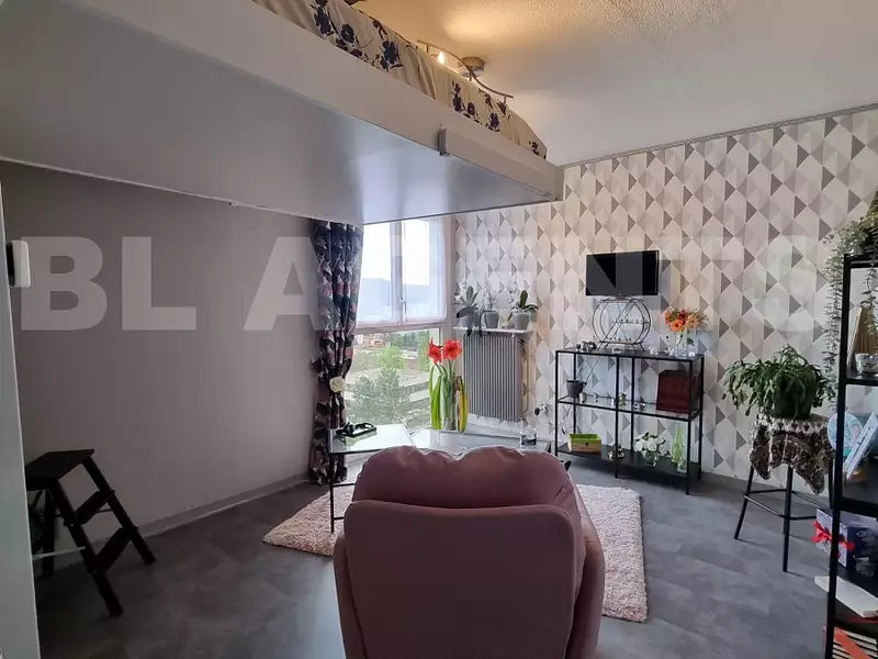 Appartement, 29,39 m²