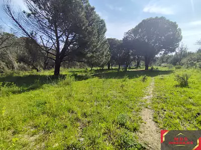 Terrain, 7 855 m²
