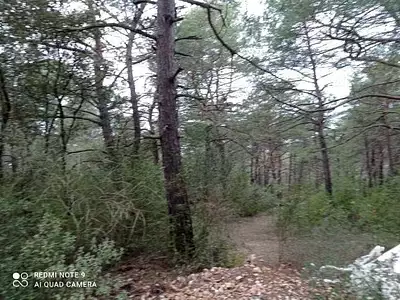 Terrain, 2 400 m²
