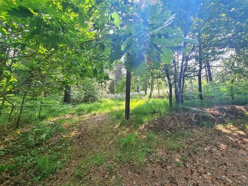 Terrain, 40 920 m²