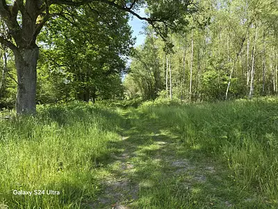 Terrain, 231 782 m²