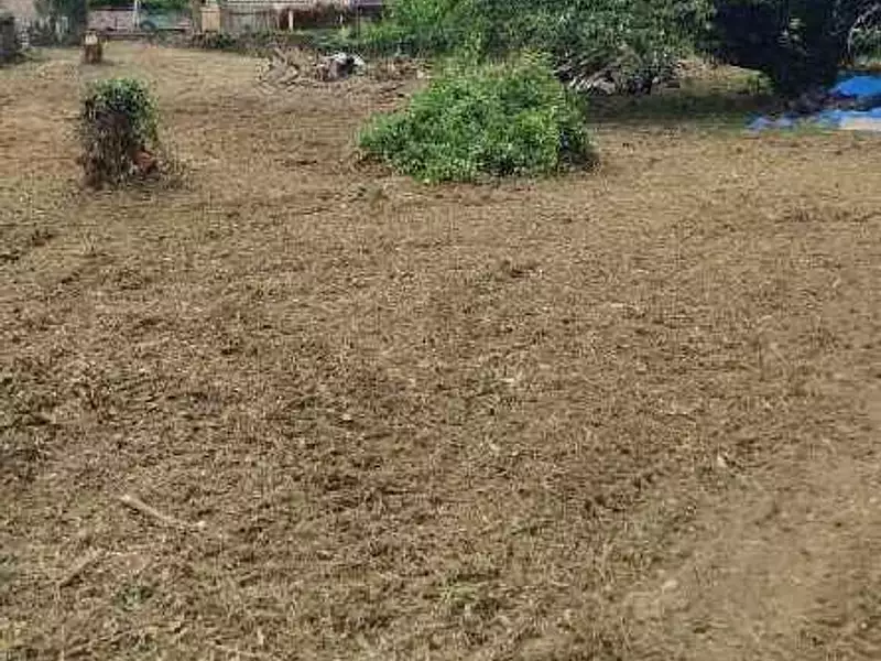 Terrain, 891 m²
