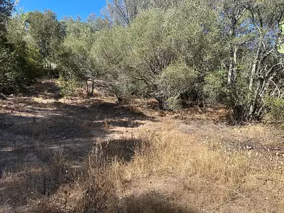 Terrain, 1 440 m²