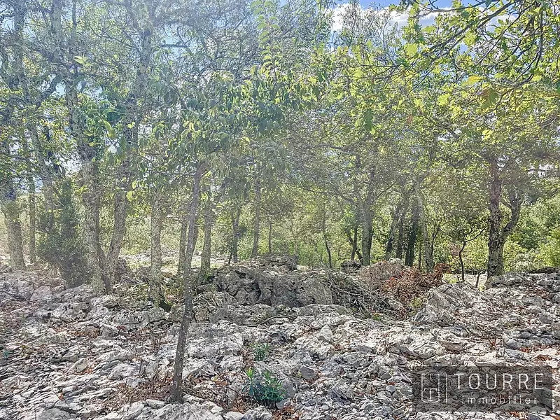 Terrain, 880 m²