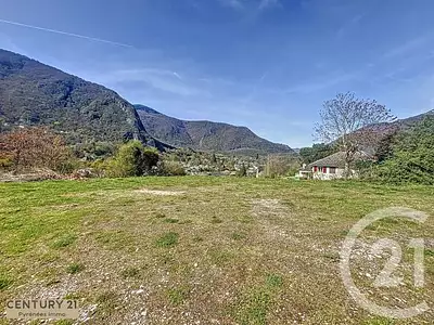 Terrain