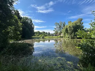 Terrain, 4 262 m²