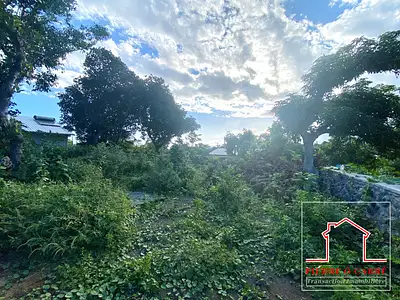 Terrain, 655 m²
