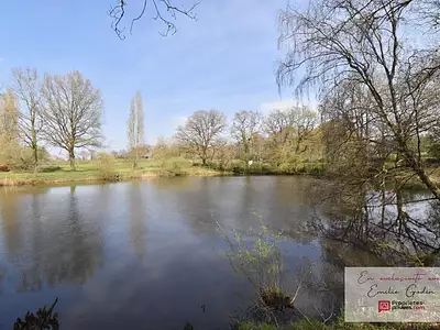 Terrain, 11 556 m²