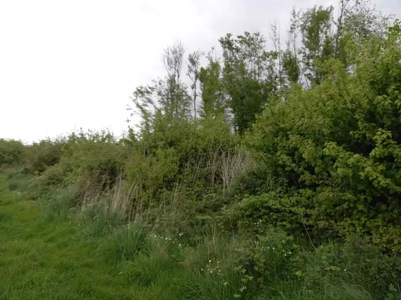 Terrain, 2 924 m²