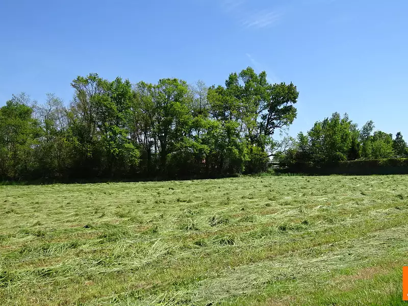 Terrain, 12 860 m²
