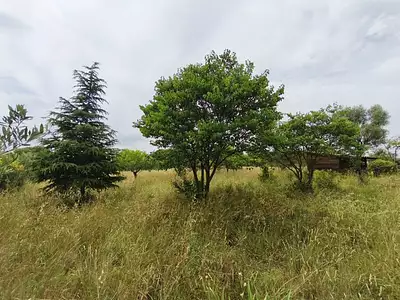 Terrain, 3 690 m²