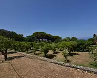 Maison, 235 m²