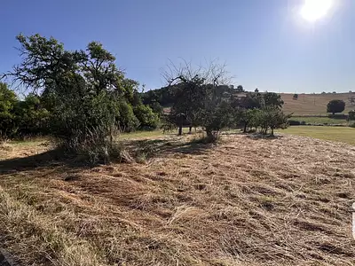 Terrain, 1 358 m²
