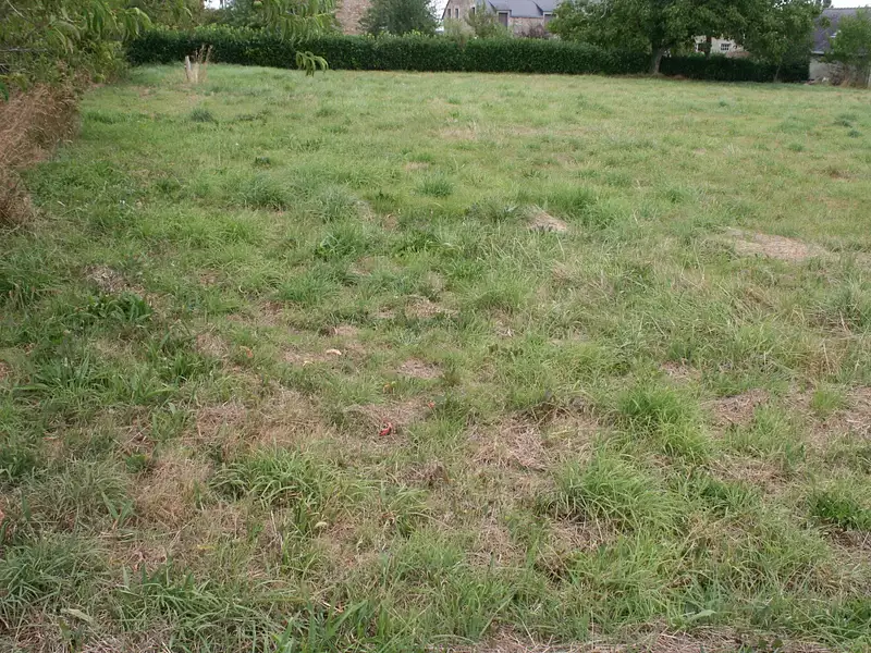 Terrain, 1 100 m²