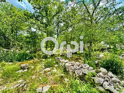 Terrain, 1 542 m²