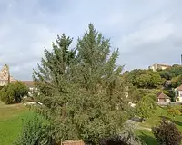 Appartement, 79,01 m²