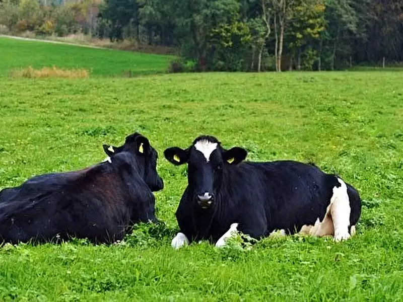 Divers, 1 200 000 m²