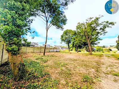 Terrain, 491 m²