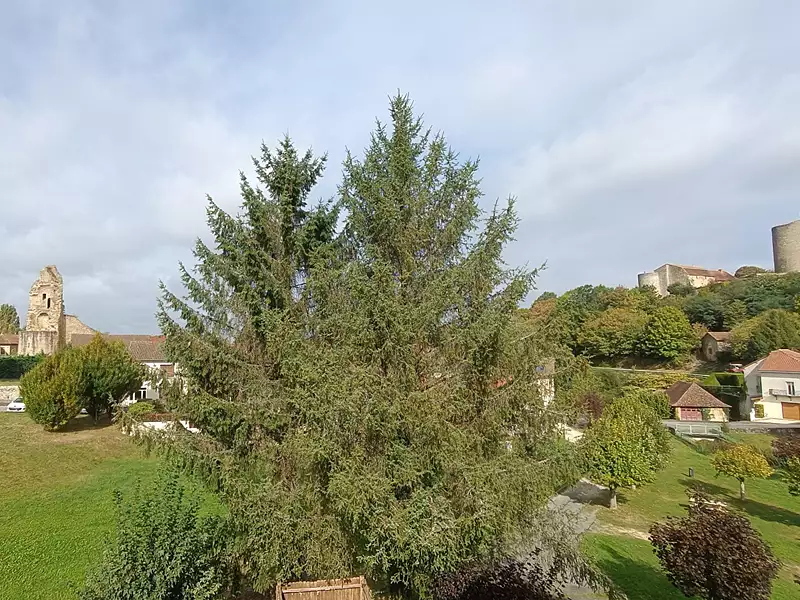 Appartement, 79,01 m²
