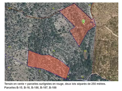 Terrain, 32 000 m²