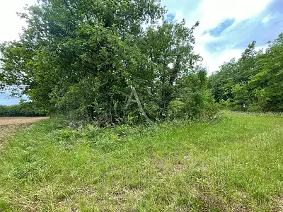 Terrain, 29 925 m²