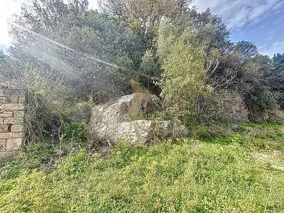 Terrain, 2 259 m²