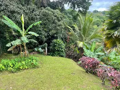 Maison, 250 m²