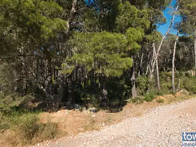 Terrain, 42 302 m²