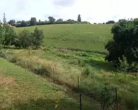 Terrain, 1 875 m²