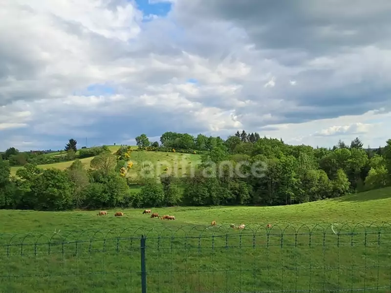 Maison, 340 m²