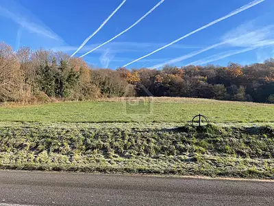 Terrain, 731 m²