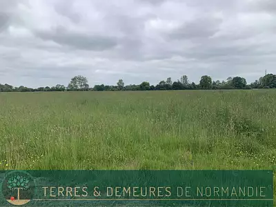 Maison, 219 m²