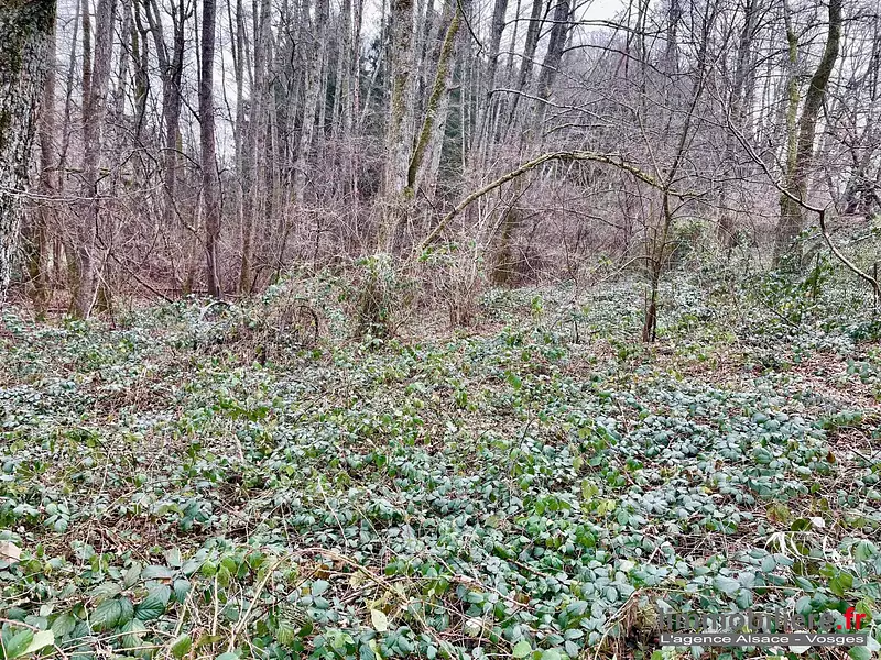 Terrain, 4 780 m²