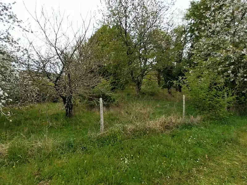 Maison, 73 m²