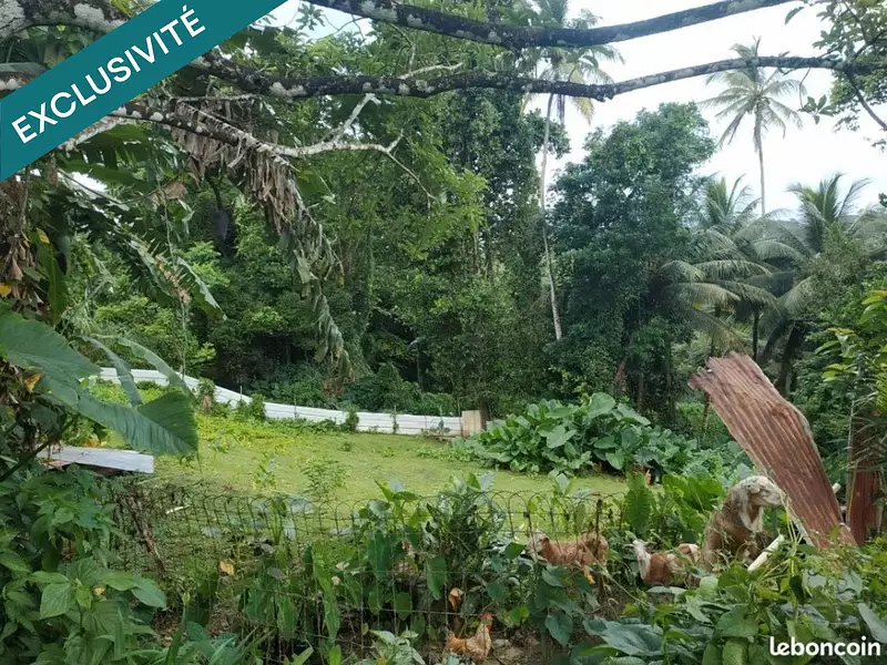 Terrain, 500 m²