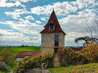 Maison, 885 m²