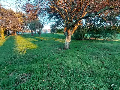 Terrain, 3 293 m²