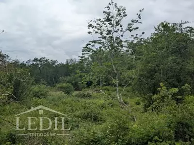 Terrain, 10 000 m²