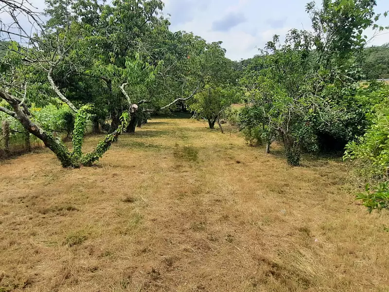 Terrain, 1 162 m²