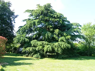 Maison, 214 m²