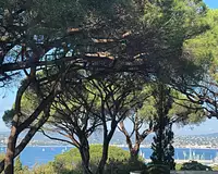 Appartement, 40,89 m²