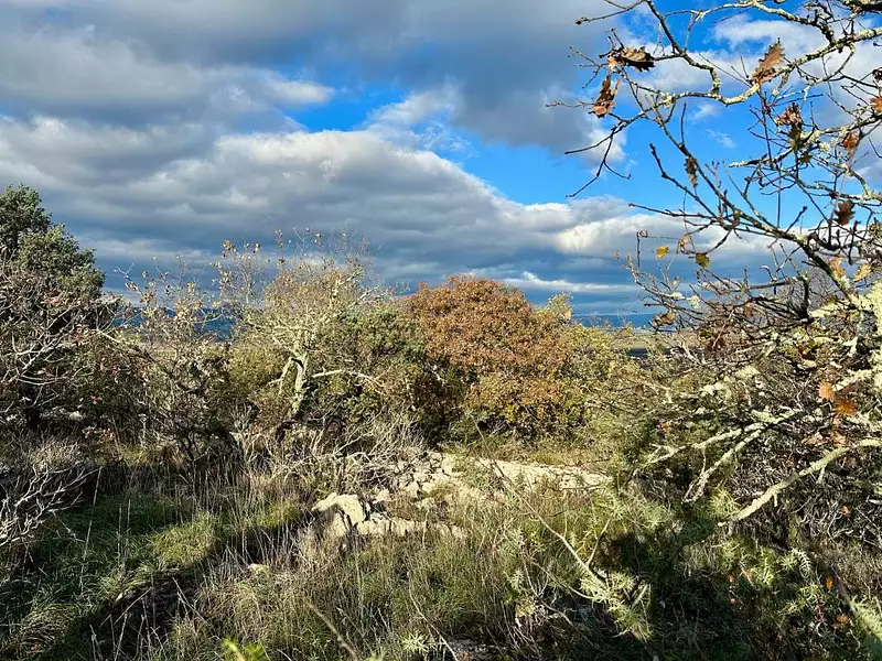 Terrain, 52 200 m²
