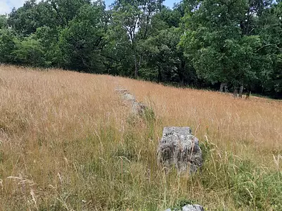 Terrain, 9 695 m²