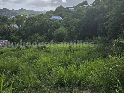 Terrain, 2 924 m²
