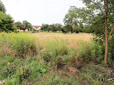 Terrain, 650 m²