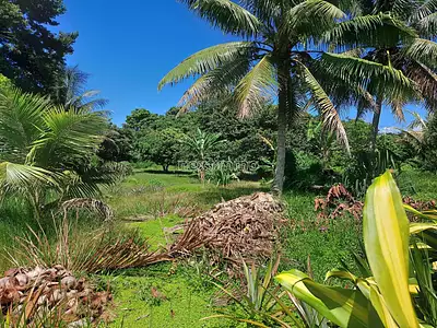Terrain, 2 694 m²