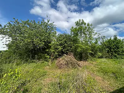 Terrain, 10 100 m²